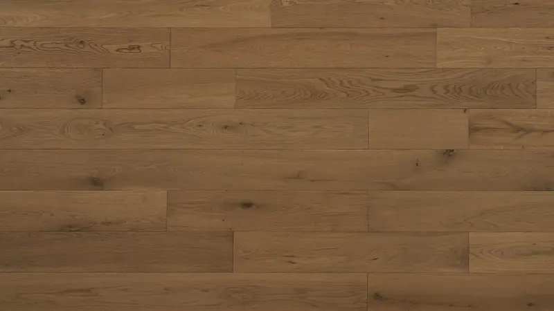 Evergreen - Elm