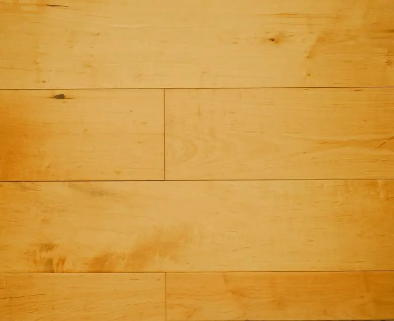 NAF 18mm Eng. Maple Hardwood - Natural
