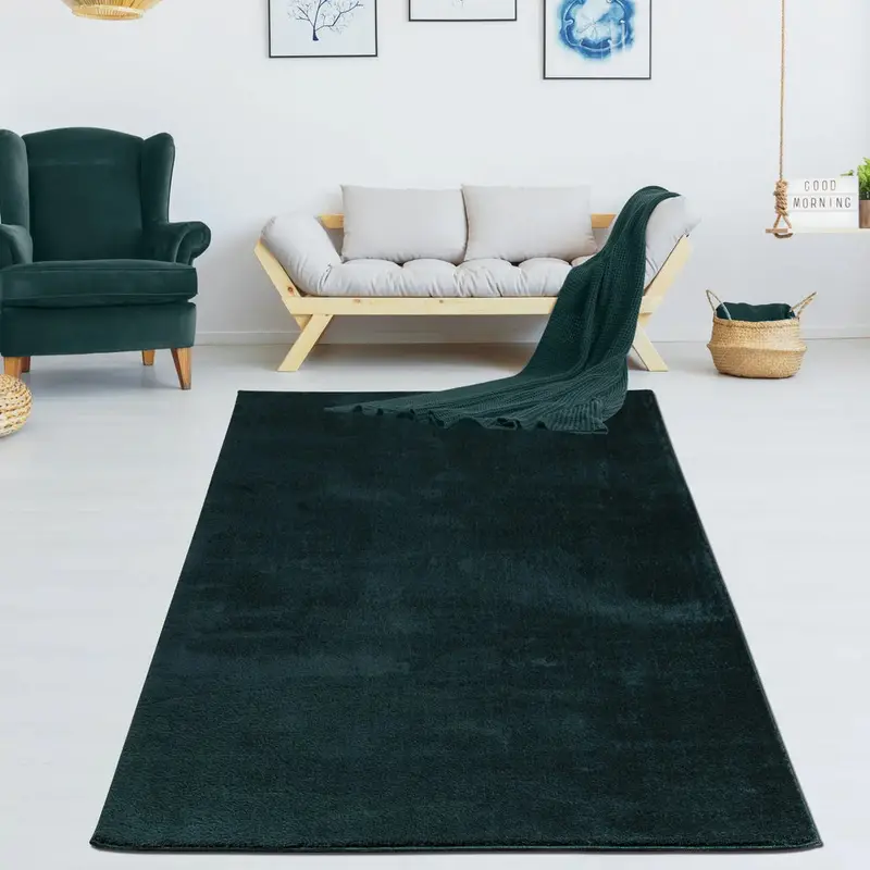 Green Fluffy Soft Machine Washable Area Rug For Living Room, Bedroom – 3'11" X 5'3"
