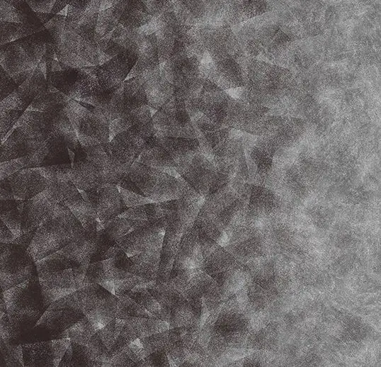 Forbo Flotex Roll Created by Starck Artist Anthracite / Silver B4 79" x 98.4'
