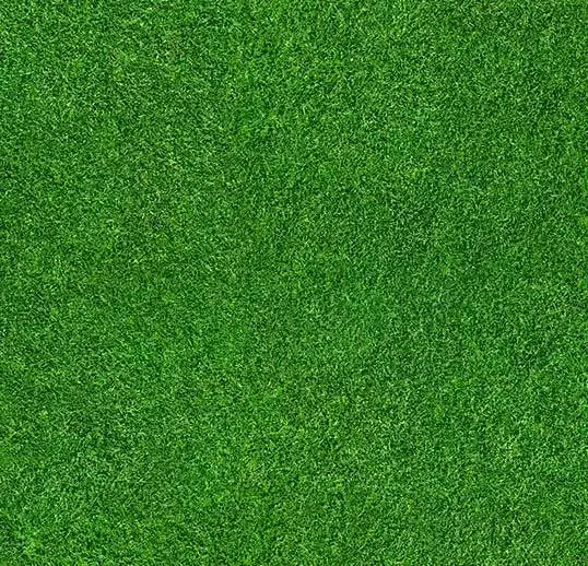 Forbo Flotex Roll Vision Grass 79" x 98.4'
