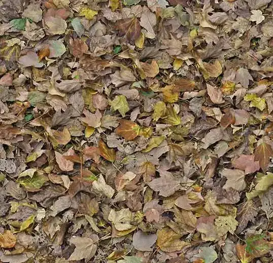 Forbo Flotex Roll Vision Autumn Leaves - Green 79" x 98.4'
