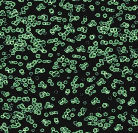 Forbo Flotex Roll Vision #990102 Bacteria 79" x 98.4'