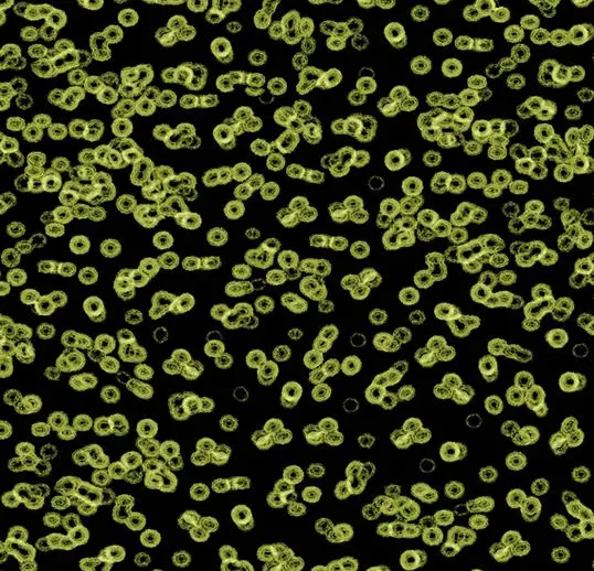 Forbo Flotex Roll Vision #990103 Bacteria 79" x 98.4'