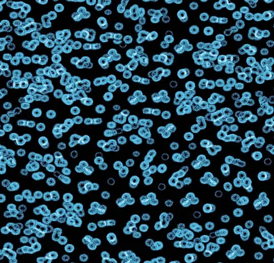 Forbo Flotex Roll Vision #990105 Bacteria 79" x 98.4'