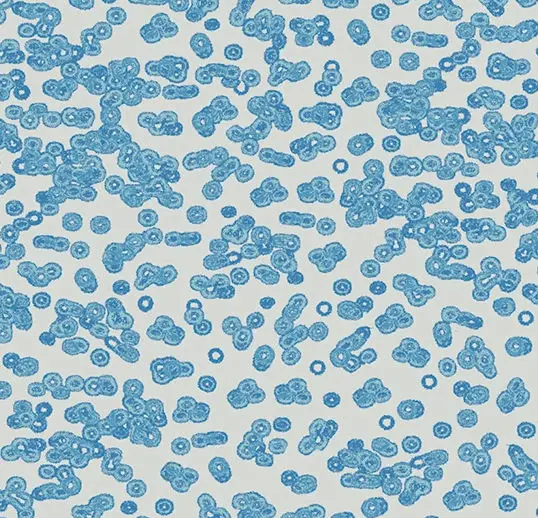 Forbo Flotex Roll Vision #990202 Bacteria 79" x 98.4'