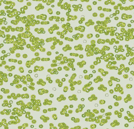 Forbo Flotex Roll Vision #990203 Bacteria 79" x 98.4'
