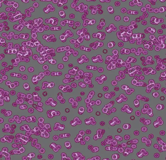 Forbo Flotex Roll Vision #990301 Bacteria 79" x 98.4'