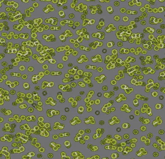 Forbo Flotex Roll Vision #990302 Bacteria 79" x 98.4'