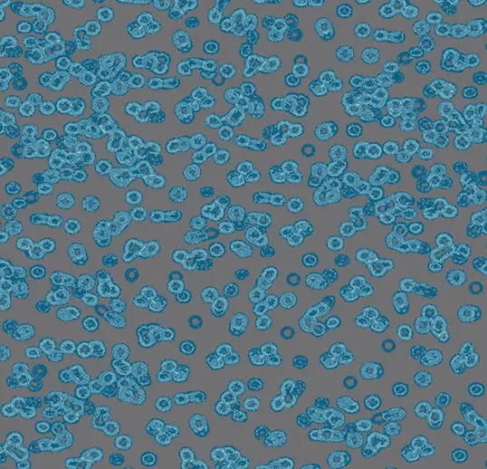 Forbo Flotex Roll Vision #990303 Bacteria 79" x 98.4'