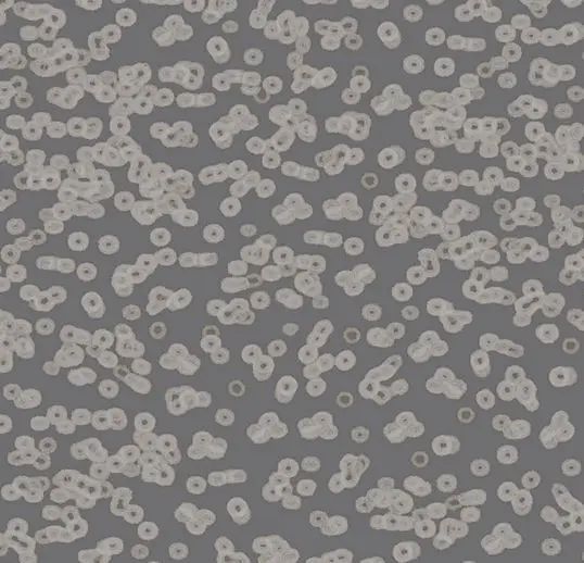 Forbo Flotex Roll Vision #990304 Bacteria 79" x 98.4'