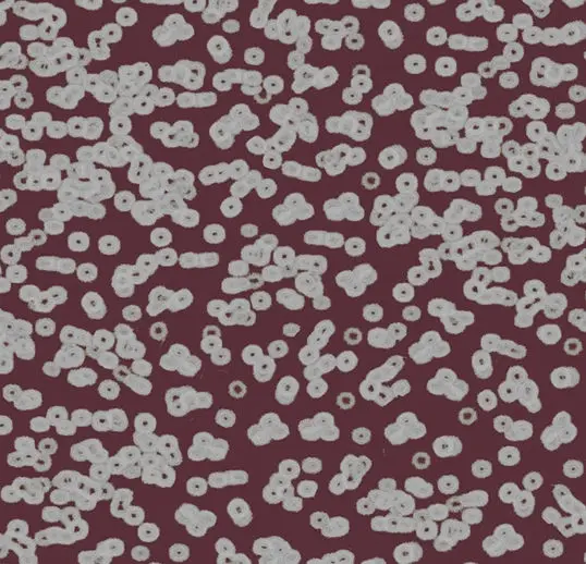 Forbo Flotex Roll Vision #990402 Bacteria 79" x 98.4'