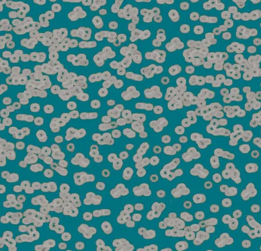 Forbo Flotex Roll Vision #990404 Bacteria 79" x 98.4'