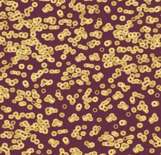 Forbo Flotex Roll Vision #990501 Bacteria 79" x 98.4'
