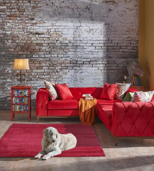 Ladole Rugs Solid Rose Red Shaggy Meknes Durable Medium Pile Indoor Area Rug Carpet – 1'10" x 2'11"