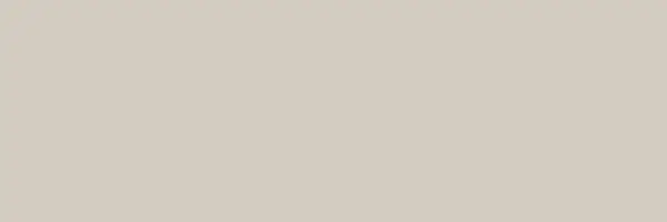 Centura Wall Tiles Lumen Greige Matte 10" x 30"