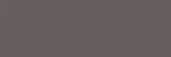 Centura Wall Tiles Lumen Brown Matte 10" x 30"