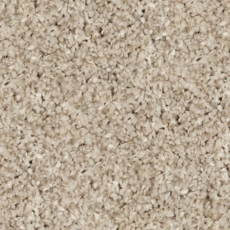 Beaulieu Broadloom Carpet Cosy Ambiance #13238 Democracy 12' (Sold in Sqyd)