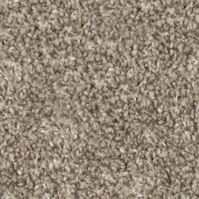 Beaulieu Broadloom Carpet Cosy Ambiance #76818 Legionary Grey 12' (Sold in Sqyd)