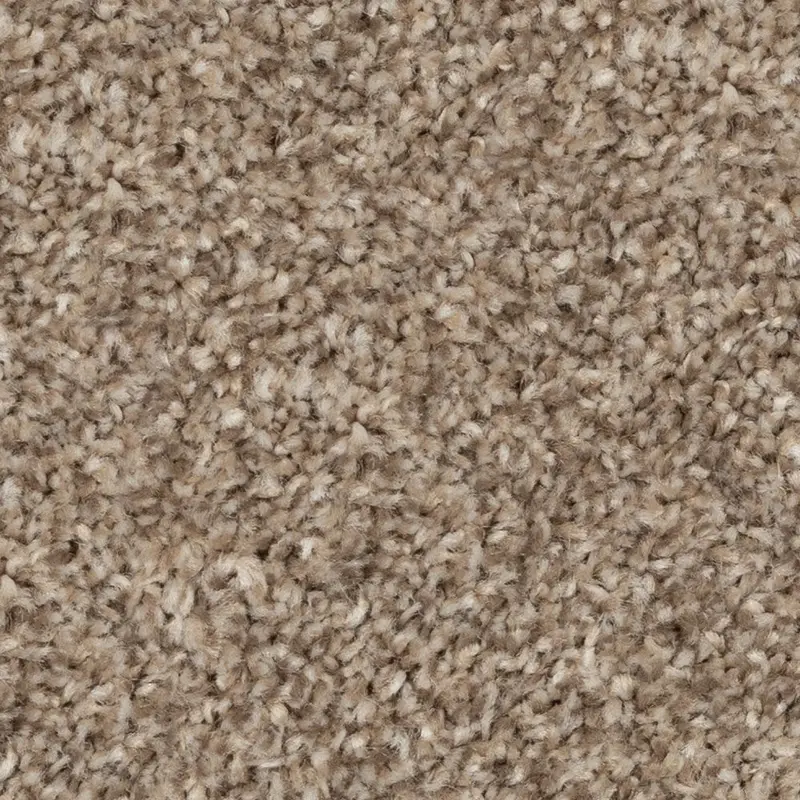 Beaulieu Broadloom Carpet Cosy Ambiance #76838 Cabriolet Brown 12' (Sold in Sqyd)