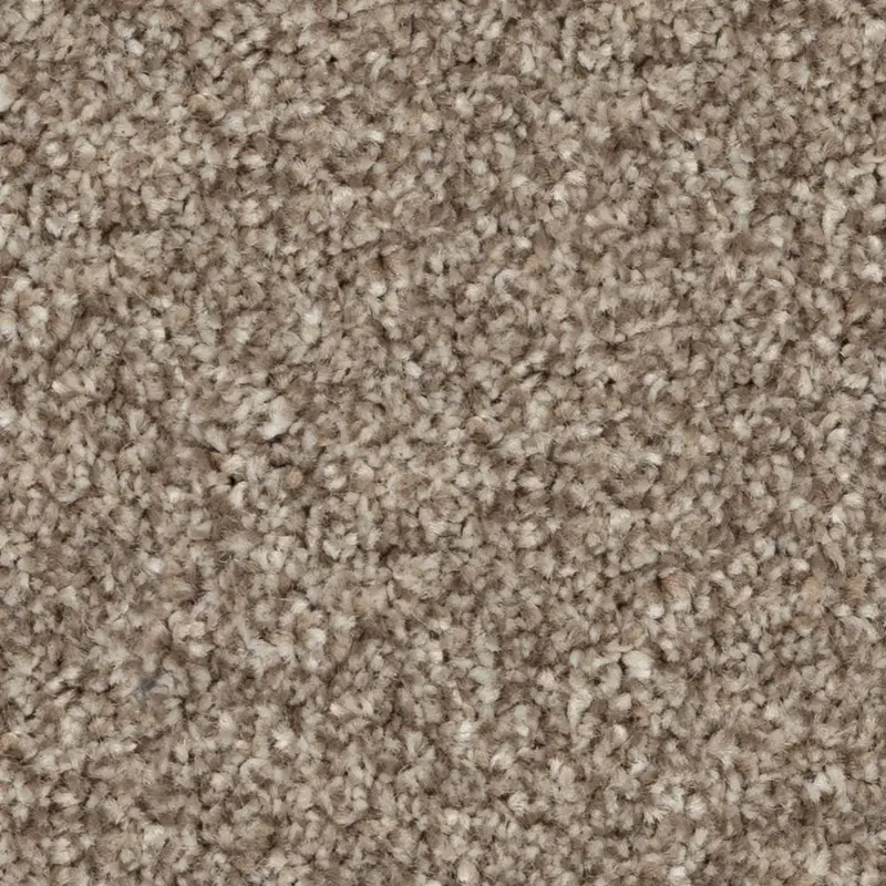 Beaulieu Broadloom Carpet Calm Ambiance Coconut Brown 12' (Sold in Sqyd)