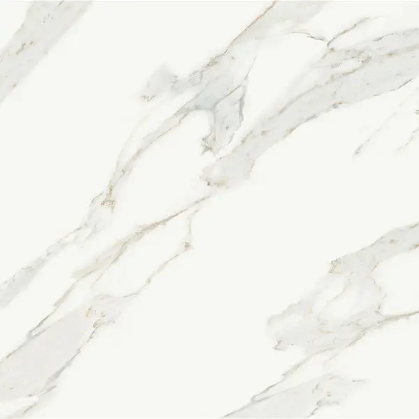 Centura Floor Tiles Jewels Calacatta Reale Polished 24" x 24"