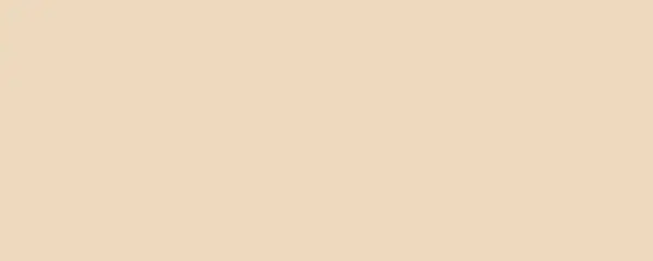 Centura Wall Tiles Design Positive Blanc Ivoire 03 Matte 8" x 20"