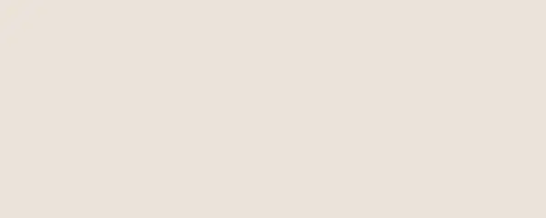 Centura Wall Tiles Design Positive Blanc Ivoire 05 Matte 8" x 20" (14.44 sqft/box)