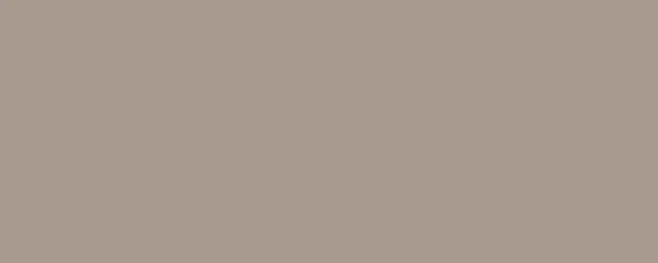 Centura Wall Tiles Design Positive Gris Doré 05 Matte 8" x 20"