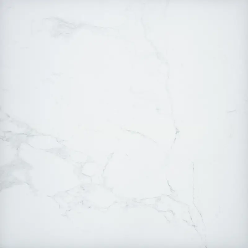 MSI Surfaces Floor Tiles Arterra Praia Carrara Matte 24" x 24"