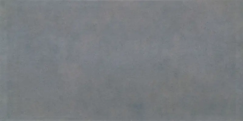 MSI Surfaces Floor Tiles Arterra True Bluestone Matte 24" x 48"