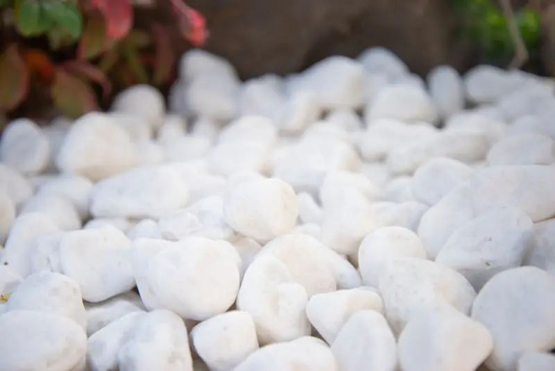 MSI Surfaces Large River Stones Piedra Pebbles Himalaya White Natural 40 lb