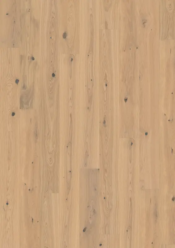 OAK TURMERIC PLANK