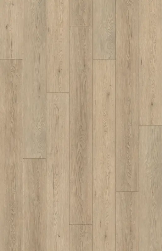 SUNLIGHT CLICK PLANK