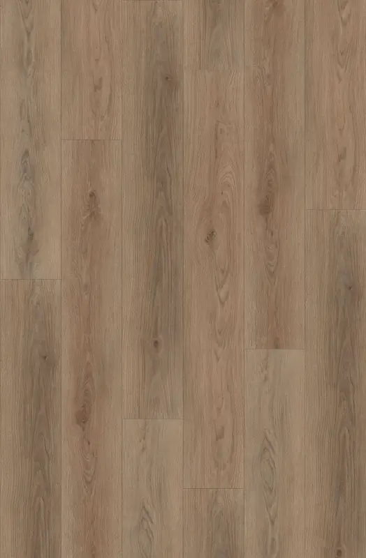SYLVAN CLICK PLANK