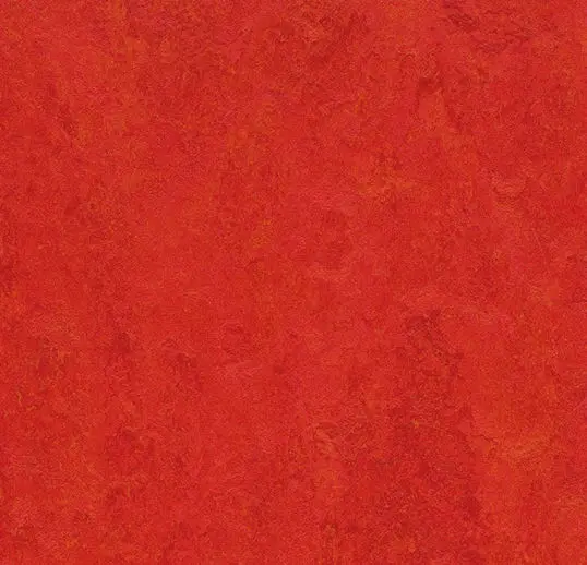 Forbo Marmoleum Tiles Modular Scarlet 19-11/16" x 19-11/16"