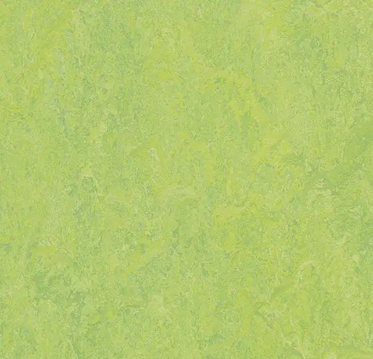 Forbo Marmoleum Tiles Modular Refreshing Green 9-13/16" x 9-13/16"
