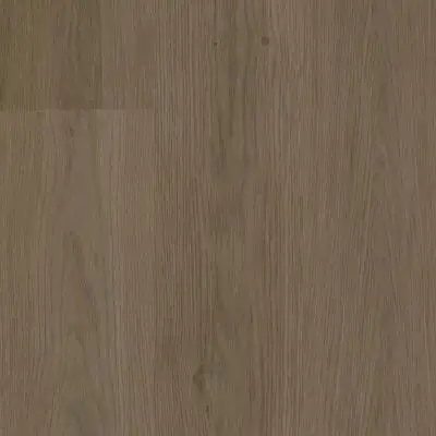 noravant timber Woodland Sheet Oak Structure