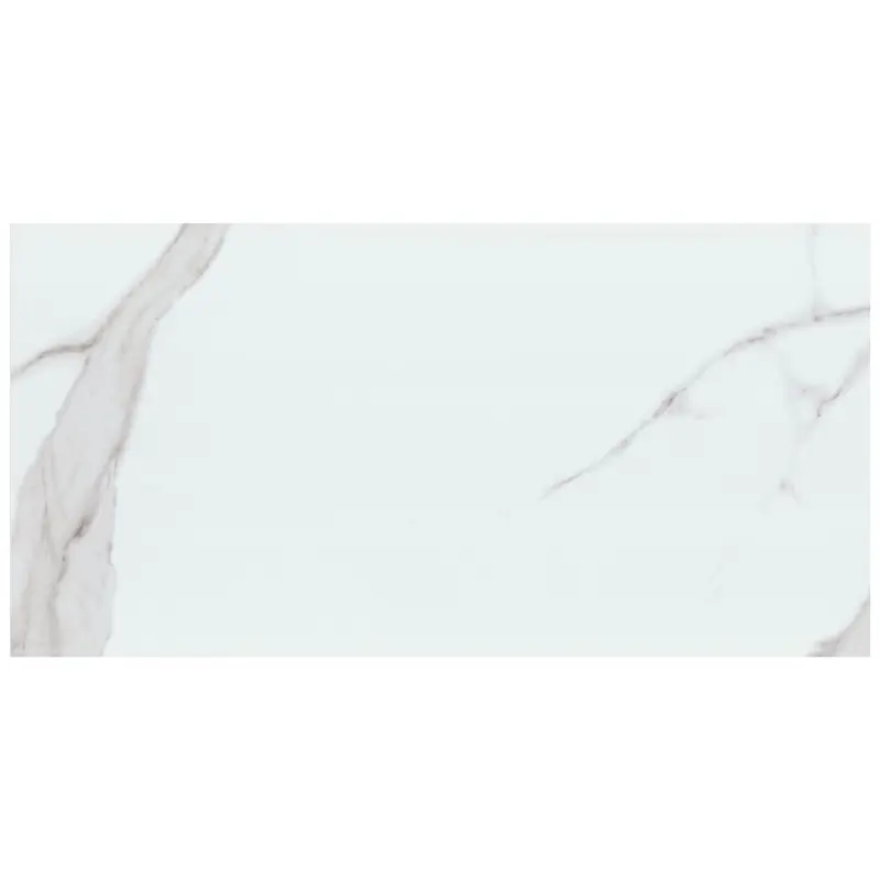 MSI Surfaces Wall Tiles Dymo Statuary White-Cool Glossy 12" x 24"