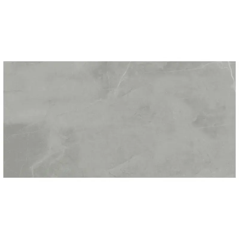 MSI Surfaces Floor Tiles Sande Gray-Dark Polished 24" x 48"