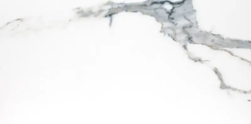 MSI Surfaces Floor Tiles Savoy Azula White-Cool Matte 12" x 24"