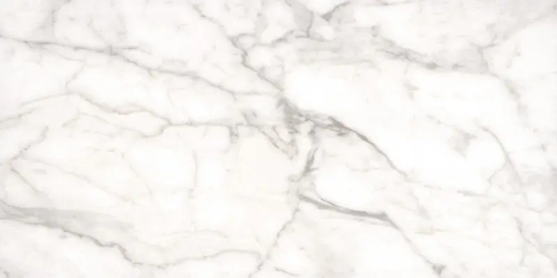 MSI Surfaces Wall Tiles White Vein White-Cool Matte 12" x 24"