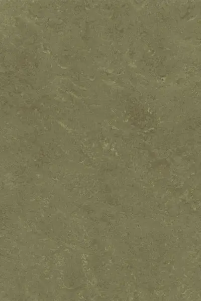 Gerflor Linoleum Roll DLW Landscape #0138 Khaki 2 m x 31 m - 2.5 mm