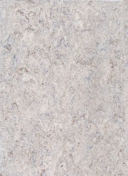 Gerflor Linoleum Roll DLW Landscape #0155 Smoked Pearl 2 m x 31 m - 2.5 mm