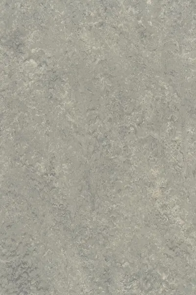 Gerflor Linoleum Roll DLW Landscape #0254 Mineral Grey 2 m x 31 m - 2.5 mm