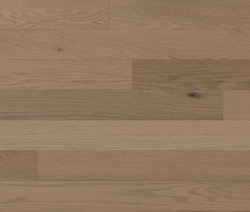 Lauzon Expert Hardwood Essential Breeze Red Oak Tradition Matte 3-1/4" x 3/4"