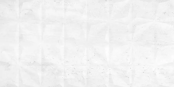 Centura Floor Tiles Reverso White Natural 48" x 110"