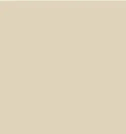 Tarkett - Perceptions Designer Wall Base - RWDC 34 4.25 LIC 1/8 Recess TOE 4-1/4" #34 Almond - Inner Corner (Pack of 25)