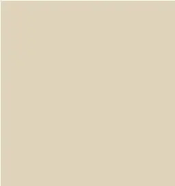 Tarkett - Perceptions Designer Wall Base - RWDC 34 4.25 LOC 1/8 Recess TOE 4-1/4" #34 Almond - Outer Corner (Pack of 25)
