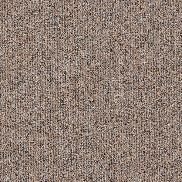 Tapis Venture Broadloom Carpet Sonic 28 #5088 Clove 12' (Sold in Sqyd)
